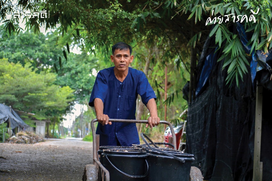 ความสุขในฟาร์มเห็ด 1 farmhed01
