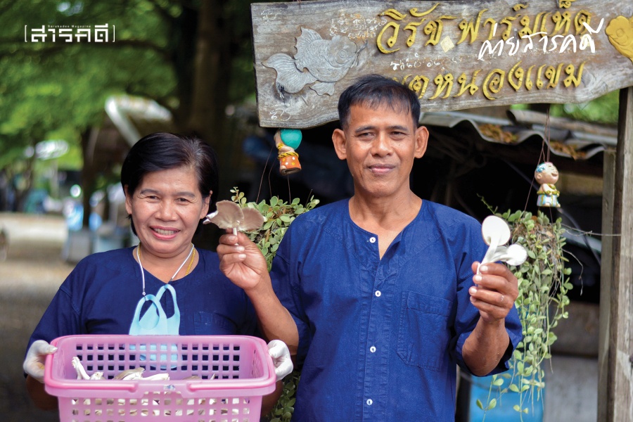 ความสุขในฟาร์มเห็ด 6 farmhed06