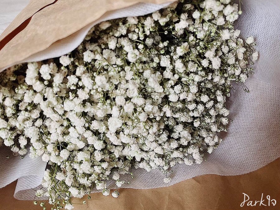 บันทึกดอกไม้ในความทรงจำ 3 flowermemory2548