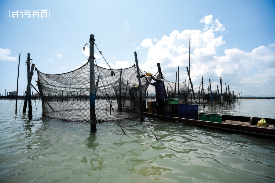 Special Scene : Foodland แดนเกาะยอ 28 foodland19 2