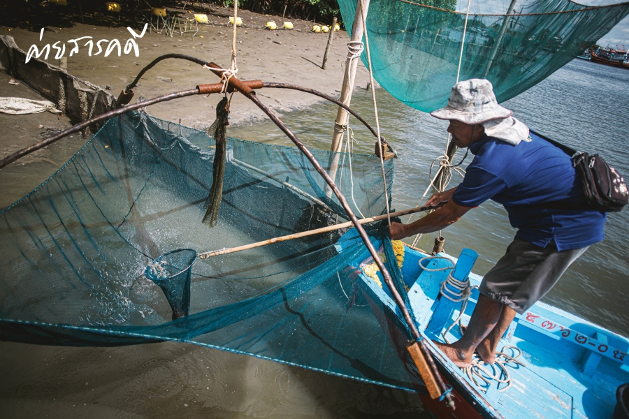 อาหาร น้ำมัน ประมง ประแสร์ 7 foodoilfish07