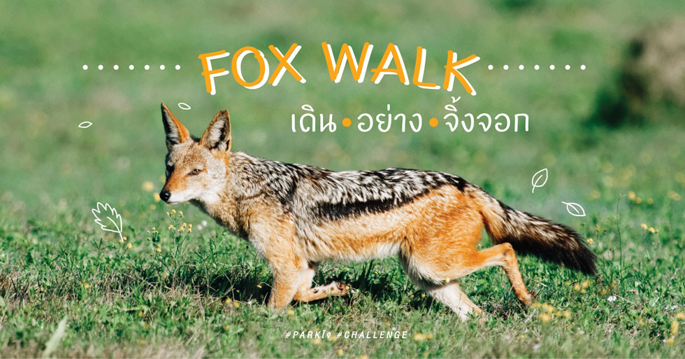 Fox Walk เดินอย่างจิ้งจอก