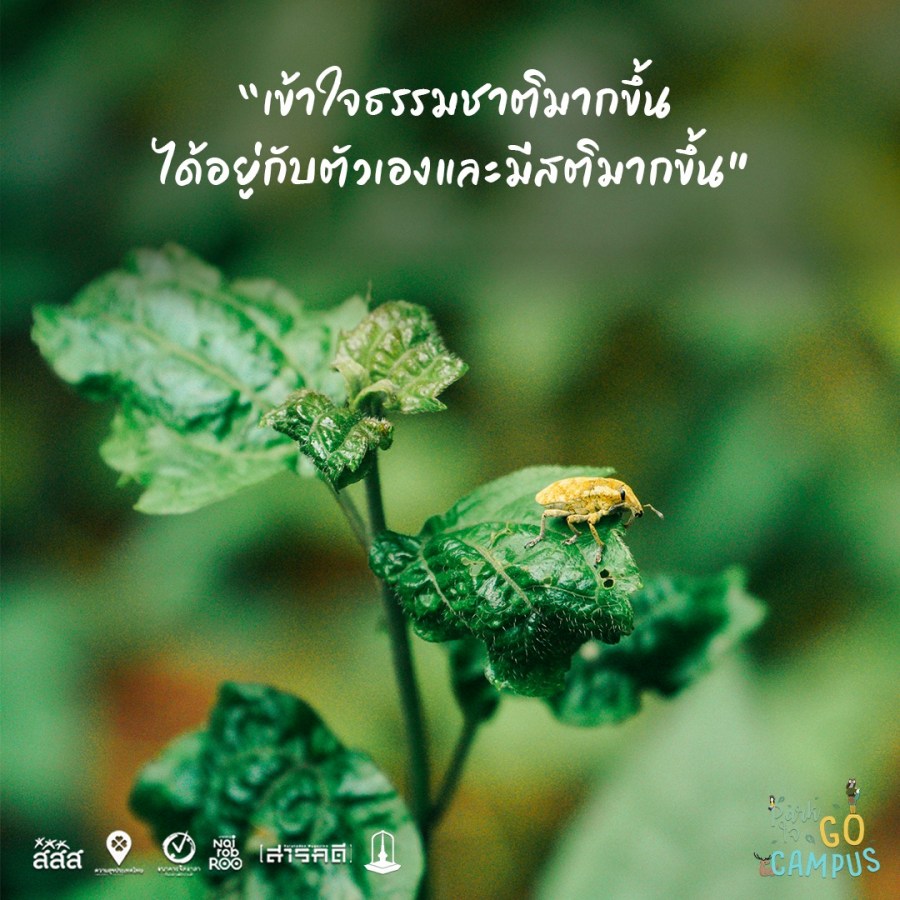 รวมความประทับจากน้องๆ กิจกรรม On Site ในเส้นทางศึกษาธรรมชาติ มหาวิทยาลัยมหาสารคาม 2 gosarakam01