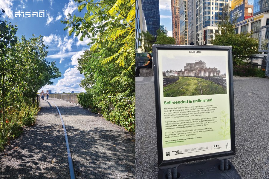 The High Line สวนลอยฟ้าท่ามกลางตึกระฟ้า เมื่อเมืองรับฟังเสียงประชาชน