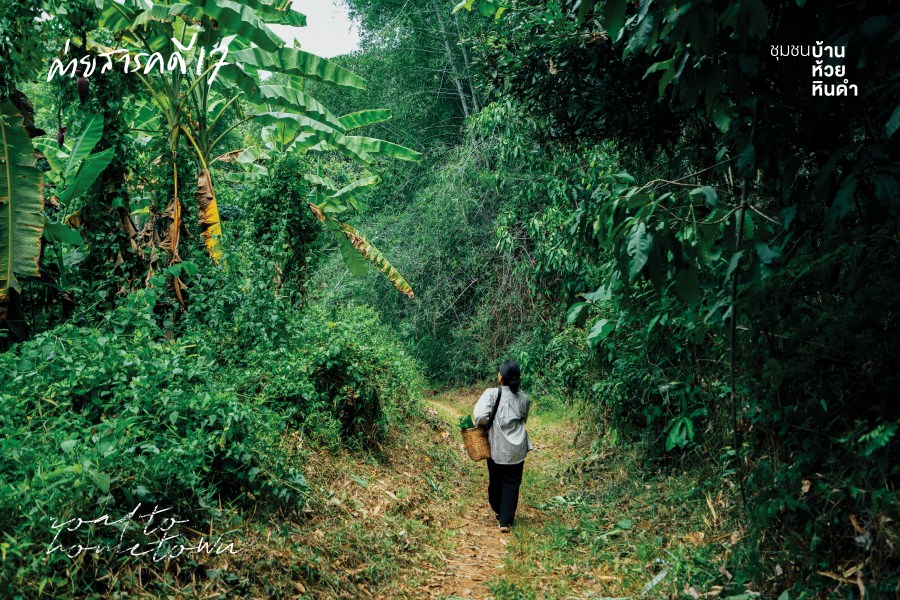 คนรุ่นใหม่ หวนคืนถิ่น ห้วยหินดำ 2 huaydindum01