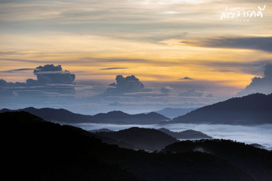 ชวนชมผลงานภาพถ่ายธรรมชาติที่ได้รับรางวัลจากกิจกรรม “Exploring in แก่งกระจาน (ว่านเด้อแลนด์)” 18 jane15 01