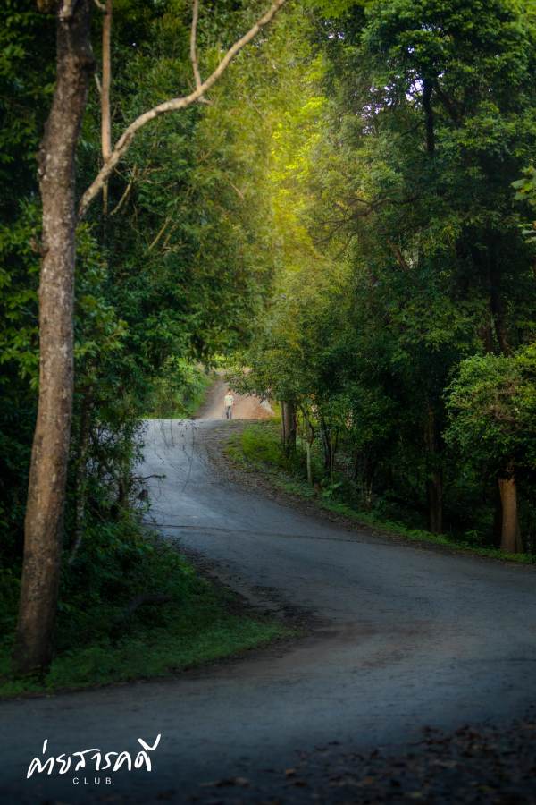 ชวนชมผลงานภาพถ่ายธรรมชาติที่ได้รับรางวัลจากกิจกรรม “Exploring in แก่งกระจาน (ว่านเด้อแลนด์)” 27 jane15 12