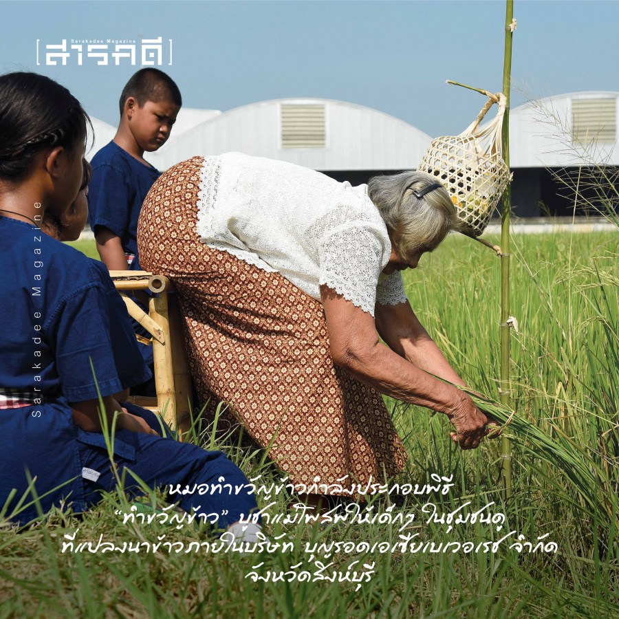 ทำขวัญข้าว เรื่องราวบนผืนนาสิงห์บุรี 1 ทำขวัญข้าว เรื่องราวบนผืนนาสิงห์บุรี
