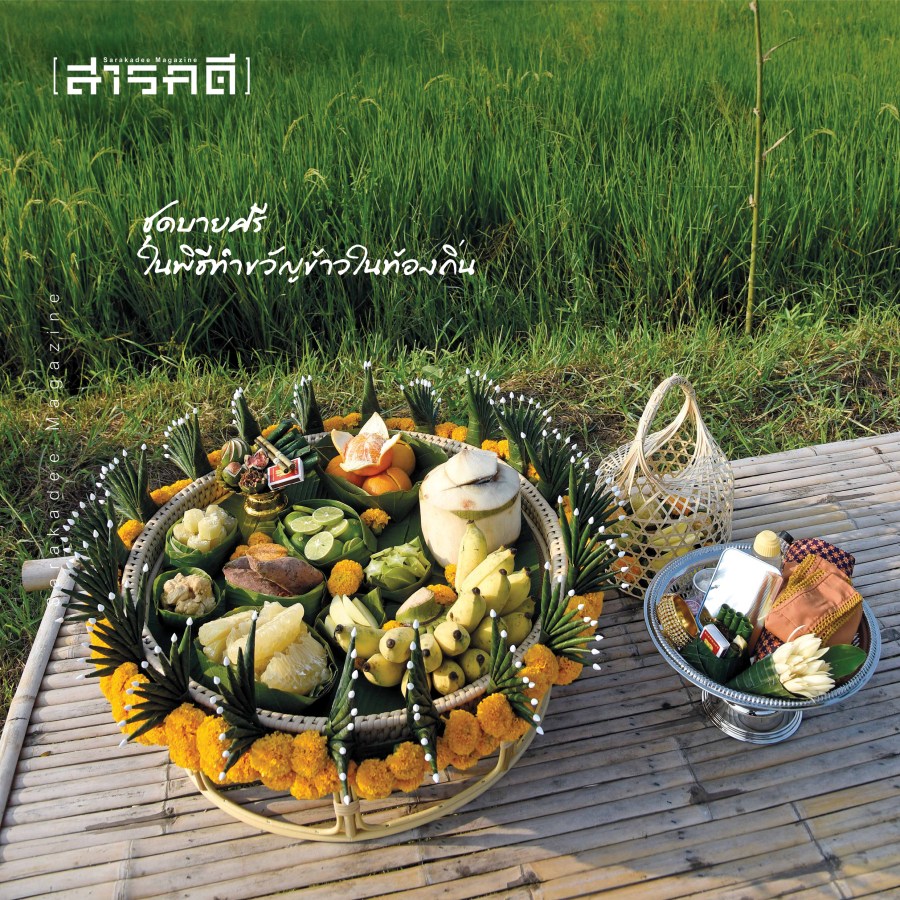 ทำขวัญข้าว เรื่องราวบนผืนนาสิงห์บุรี 5 kksinghburi15