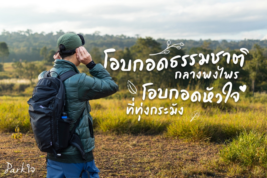 โอบกอดธรรมชาติกลางพงไพร โอบกอดหัวใจที่ทุ่งกะมัง 1 พวกเราเหล่าคนแปลกหน้าจากเมืองคอนกรีตจึงได้โอบรับพลังงานดีๆ จากป่า และโอบกอดหัวใจท่ามกลางการค้นหาความสุขที่เกิดขึ้นที่ทุ่งกะมังแห่งนี้