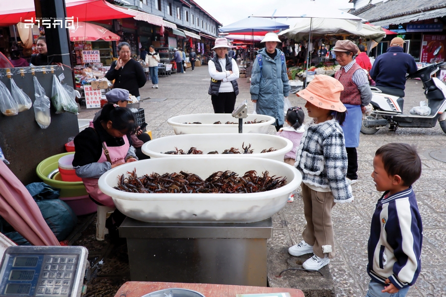 ลี่เจียง (麗江市) มรดก (โลก) น่ารักแห่งยูนนาน 21 lijiang21