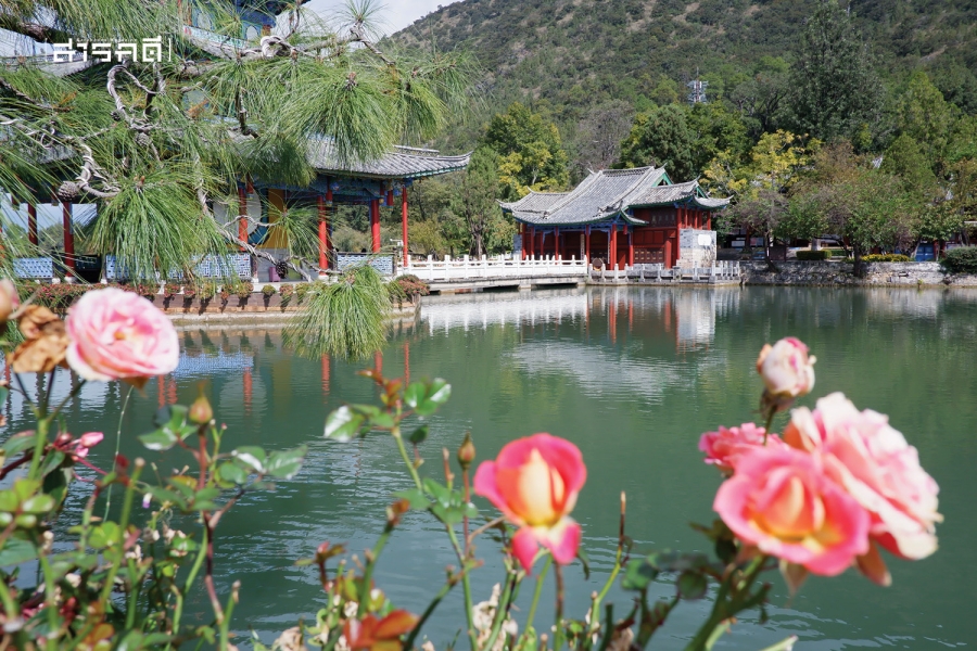 ลี่เจียง (麗江市) มรดก (โลก) น่ารักแห่งยูนนาน 30 lijiang30