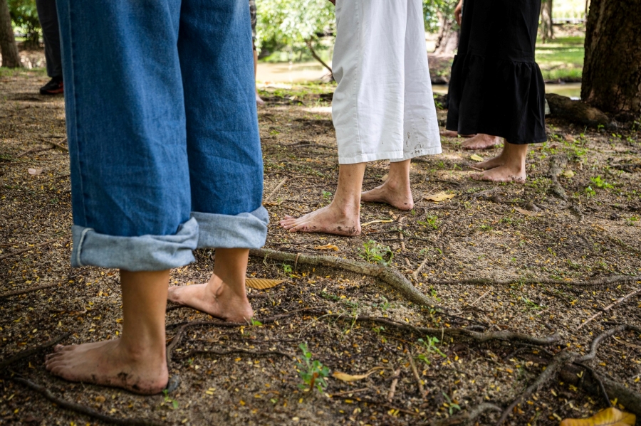 Parkใจ ในสวน : เชื่อมโยงตนเองกับธรรมชาติผ่านประตูที่หลากหลาย กับ Monature 7 linknature11