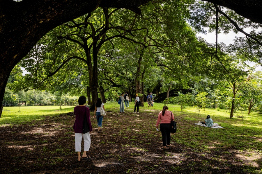 Parkใจ ในสวน : เชื่อมโยงตนเองกับธรรมชาติผ่านประตูที่หลากหลาย กับ Monature 10 linknature19