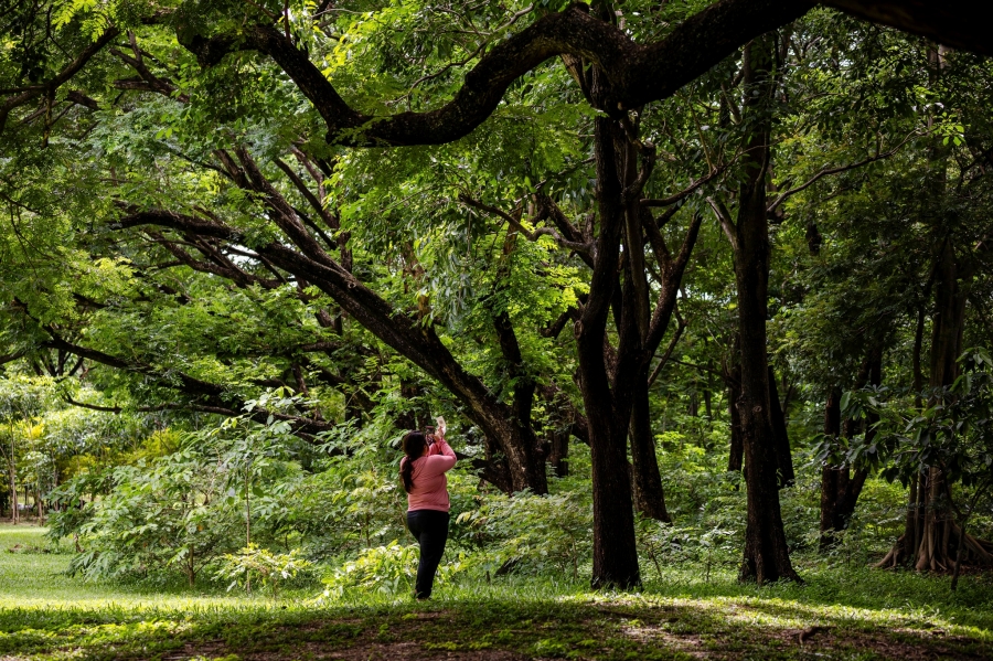 Parkใจ ในสวน : เชื่อมโยงตนเองกับธรรมชาติผ่านประตูที่หลากหลาย กับ Monature 26 linknature25