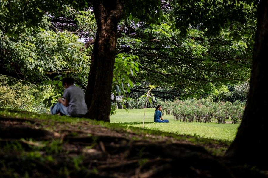 Parkใจ ในสวน : เชื่อมโยงตนเองกับธรรมชาติผ่านประตูที่หลากหลาย กับ Monature 27 linknature26