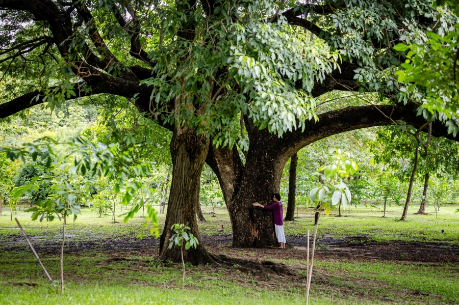 Parkใจ ในสวน : เชื่อมโยงตนเองกับธรรมชาติผ่านประตูที่หลากหลาย กับ Monature 28 linknature27