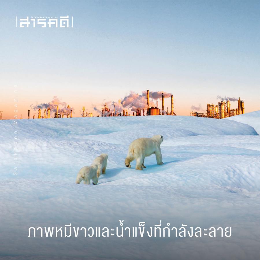 โลกรวนไม่ได้ป่วนแค่ขั้วโลก 6 lokruan05