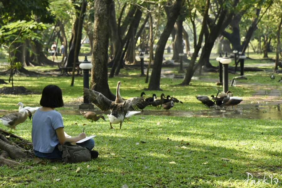 19 กุมภาพันธ์ 2566 - Parkใจ บันทึกธรรมชาติในสวน 9 naisuan09