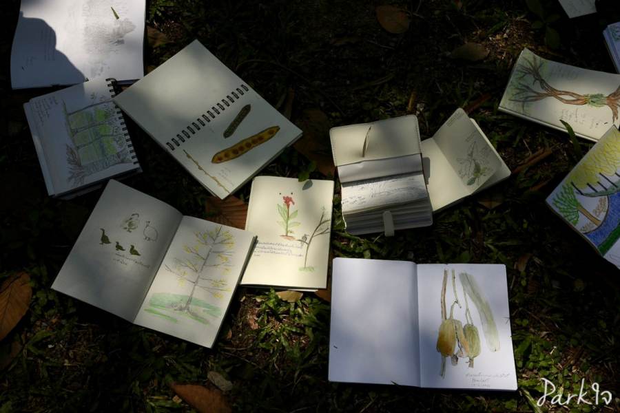 19 กุมภาพันธ์ 2566 - Parkใจ บันทึกธรรมชาติในสวน 10 naisuan10