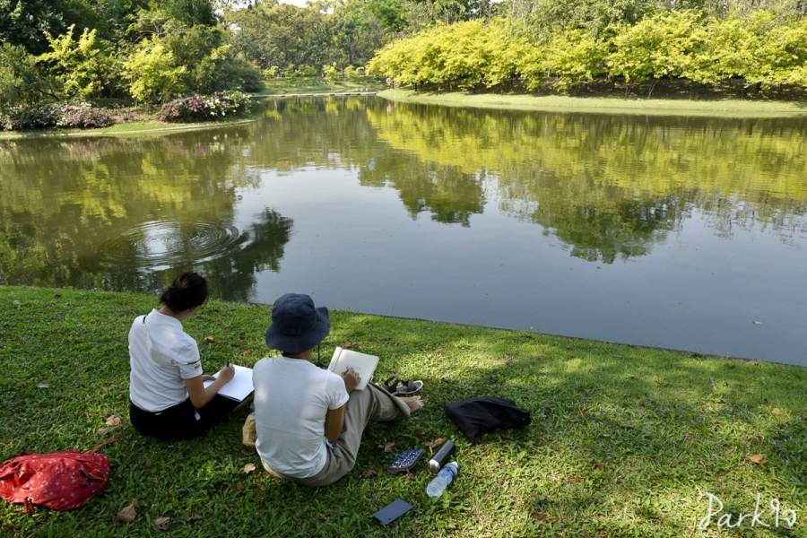 19 กุมภาพันธ์ 2566 - Parkใจ บันทึกธรรมชาติในสวน 11 naisuan12