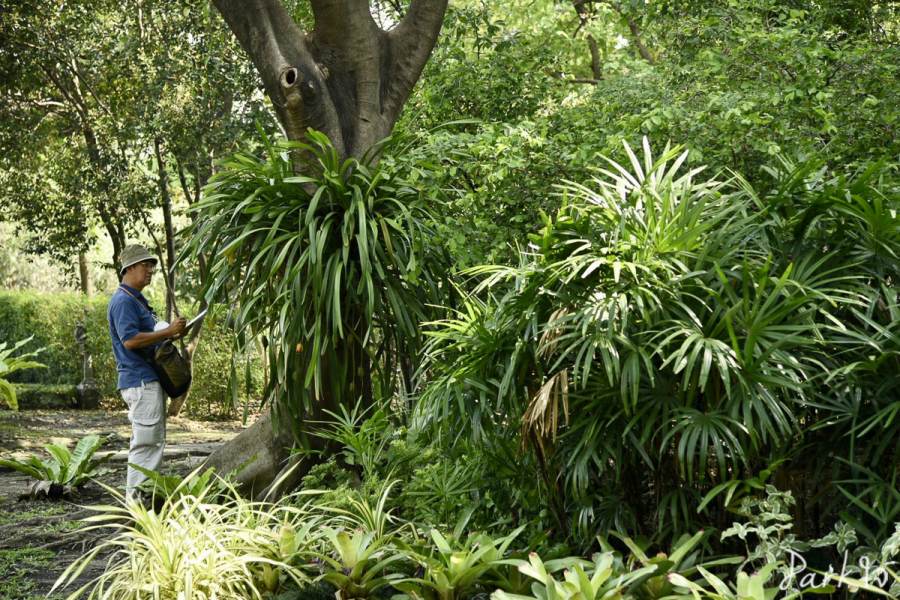 19 กุมภาพันธ์ 2566 - Parkใจ บันทึกธรรมชาติในสวน 13 naisuan14