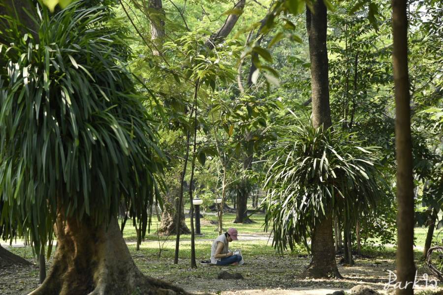 19 กุมภาพันธ์ 2566 - Parkใจ บันทึกธรรมชาติในสวน 15 naisuan15