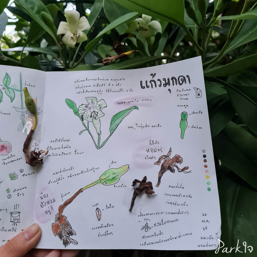 5 บทเรียนสำคัญที่บันทึกธรรมชาติพาเราไปเจอ 4 naturelesson03