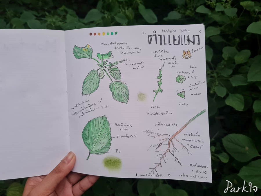 5 บทเรียนสำคัญที่บันทึกธรรมชาติพาเราไปเจอ 6 naturelesson05 0