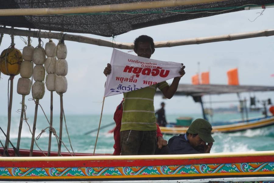 ทำไมต้องทวงคืนน้ำพริกปลาทู 5 npplatoo05