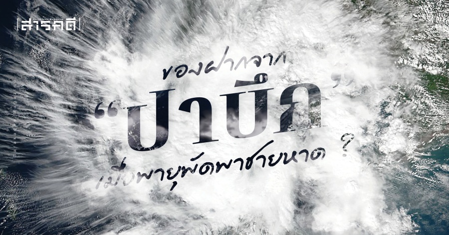 ของฝากจาก “ปาบึก” เมื่อพายุพัดพาชายหาด ? 1 PABUK ของฝากจาก ปาบึก เมื่อพายุพัดพาชายหาด ?