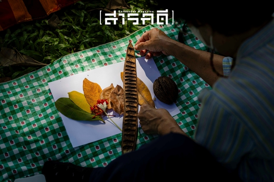 บรรยากาศกิจกรรม Parkใจ ในสวน : พาใจอยู่ร่วมกับสิ่งรอบตัว กับต้น Parkใจ 24 pajaiyu23