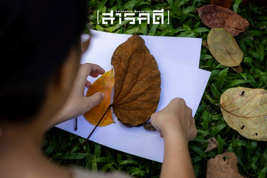 บรรยากาศกิจกรรม Parkใจ ในสวน : พาใจอยู่ร่วมกับสิ่งรอบตัว กับต้น Parkใจ 26 pajaiyu25