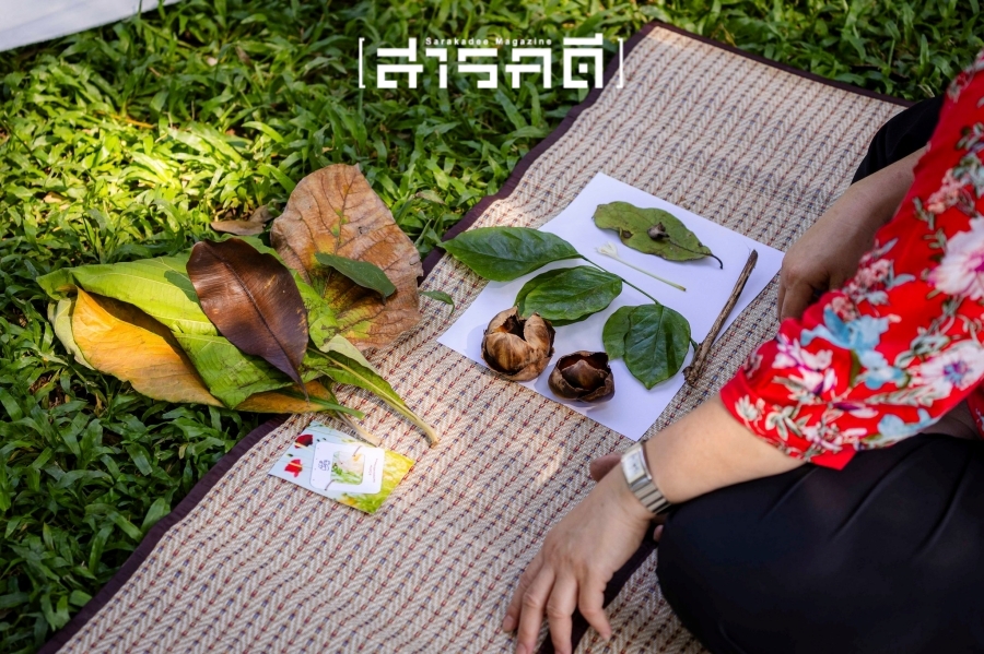 บรรยากาศกิจกรรม Parkใจ ในสวน : พาใจอยู่ร่วมกับสิ่งรอบตัว กับต้น Parkใจ 27 pajaiyu26
