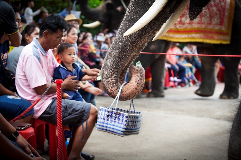 paneadluang06