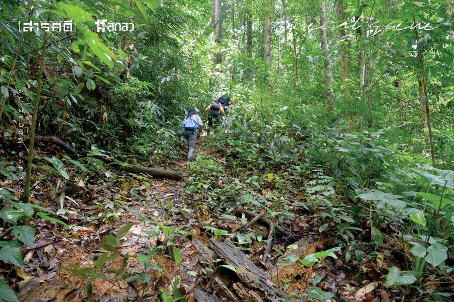 Special Scene : ผล “ประ (โยชน์)” ที่ไม่เหมือนเดิมอีกต่อไป 2 papra02