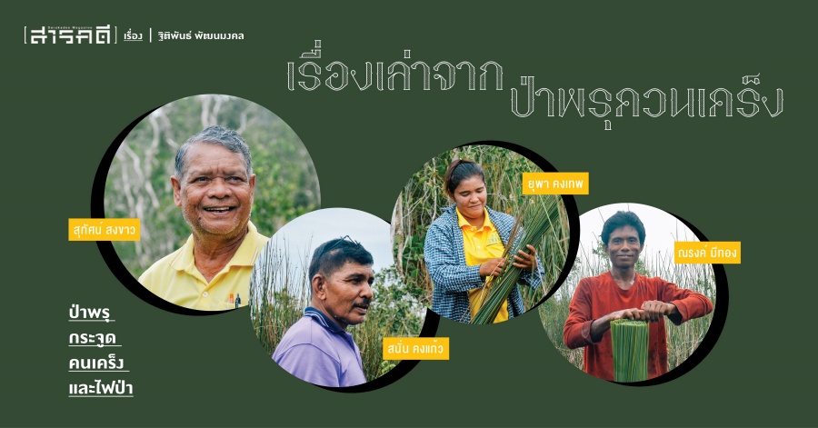 เรื่องเล่าจากป่าพรุควนเคร็ง ป่าพรุ กระจูด คนเคร็ง และไฟป่า 1 เรื่องเล่าจากป่าพรุควนเคร็ง ป่าพรุ กระจูด คนเคร็ง และไฟป่า