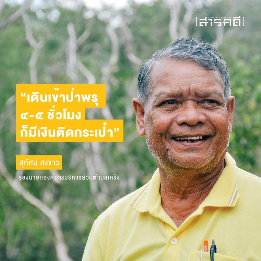 เรื่องเล่าจากป่าพรุควนเคร็ง ป่าพรุ กระจูด คนเคร็ง และไฟป่า 3 papru03