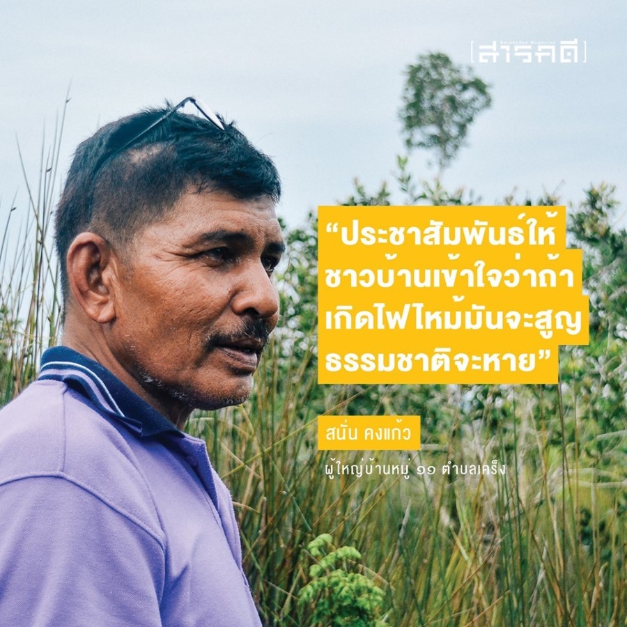 เรื่องเล่าจากป่าพรุควนเคร็ง ป่าพรุ กระจูด คนเคร็ง และไฟป่า 4 papru04