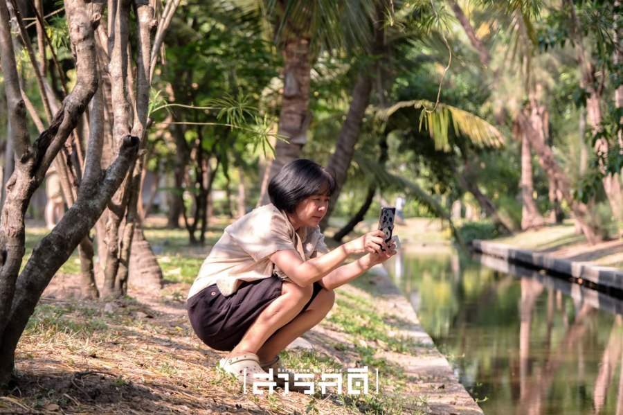 parknaisuan26
