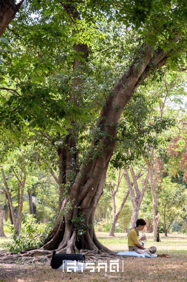 parknaisuan38