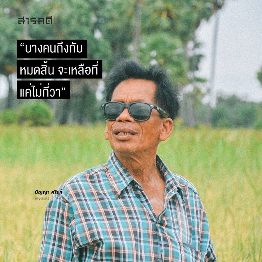 เมื่อทุ่งนาป่าตาลจะเป็นทางผ่านมอเตอร์เวย์ 4 patan02