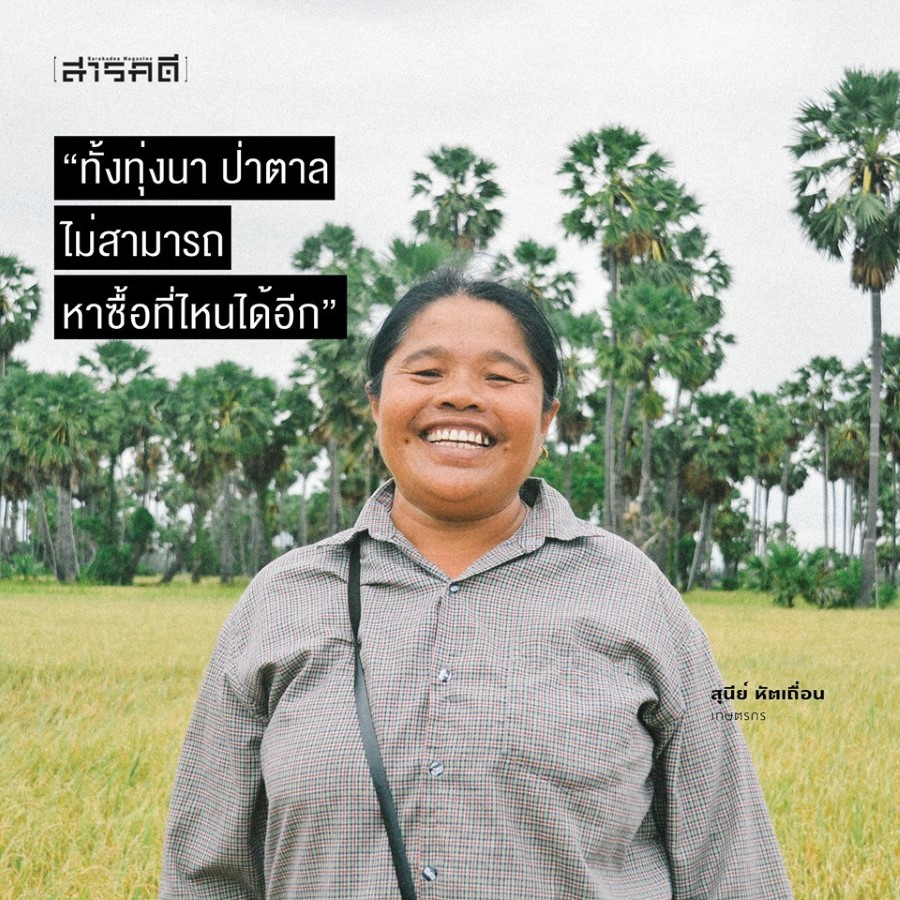 เมื่อทุ่งนาป่าตาลจะเป็นทางผ่านมอเตอร์เวย์ 5 patan04