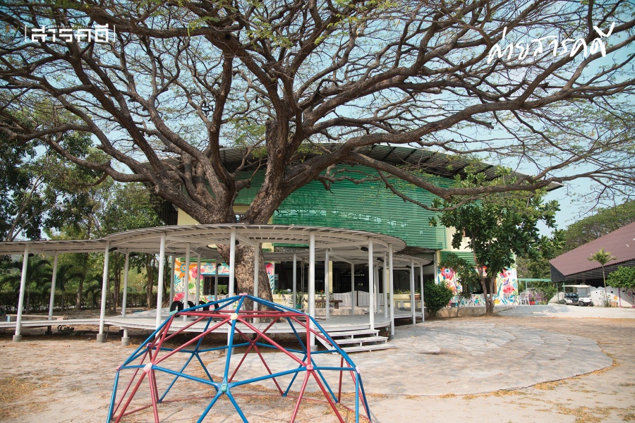 โรงเรียน-เสี้ยนหนาม-ความฝัน 2 pattarawadee01