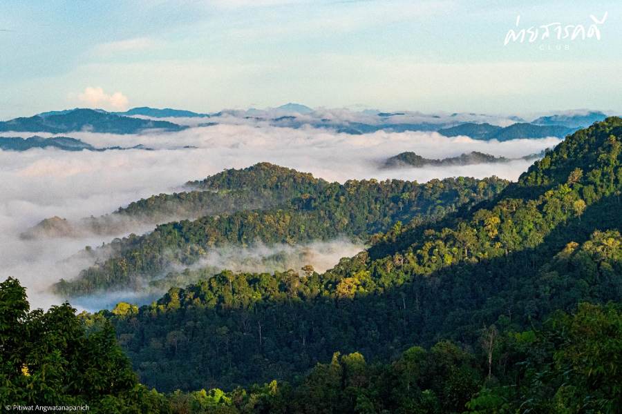 ชวนชมผลงานภาพถ่ายธรรมชาติที่ได้รับรางวัลจากกิจกรรม “Exploring in แก่งกระจาน (ว่านเด้อแลนด์)” 10 pitiwat22