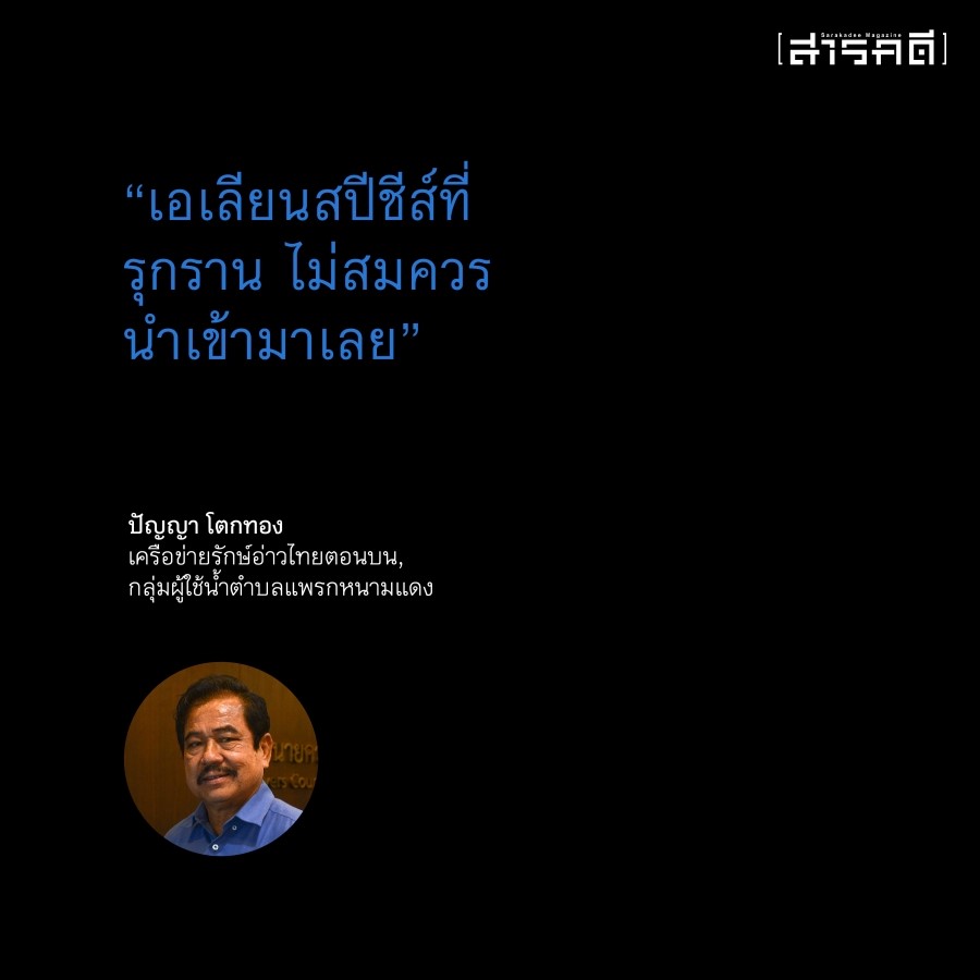 เมื่อปลาหมอคางดำรุกล้ำน่านน้ำไทย 2 plamor02