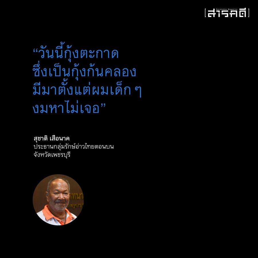เมื่อปลาหมอคางดำรุกล้ำน่านน้ำไทย 4 plamor04