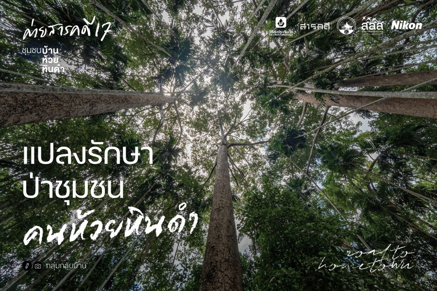 แปลงรักษา ป่าชุมชน คนห้วยหินดำ 1 แปลงรักษา ป่าชุมชน คนห้วยหินดำ