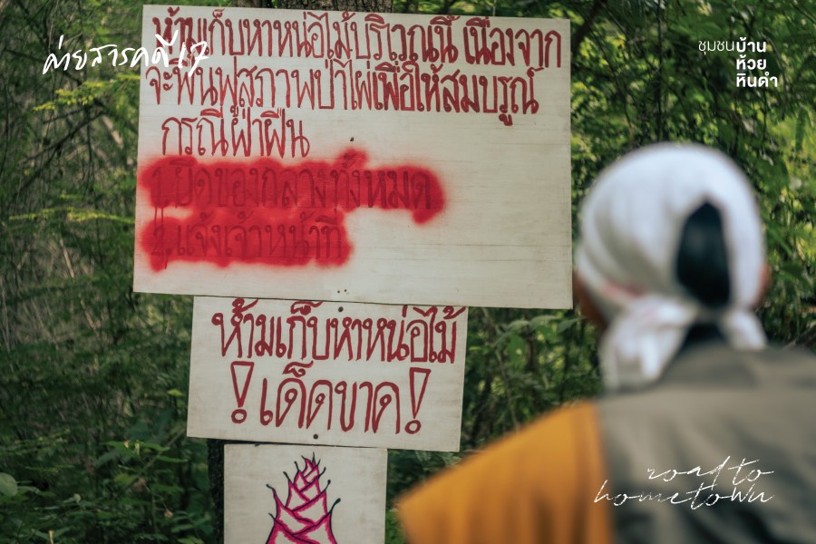 แปลงรักษา ป่าชุมชน คนห้วยหินดำ 3 plangraksa02