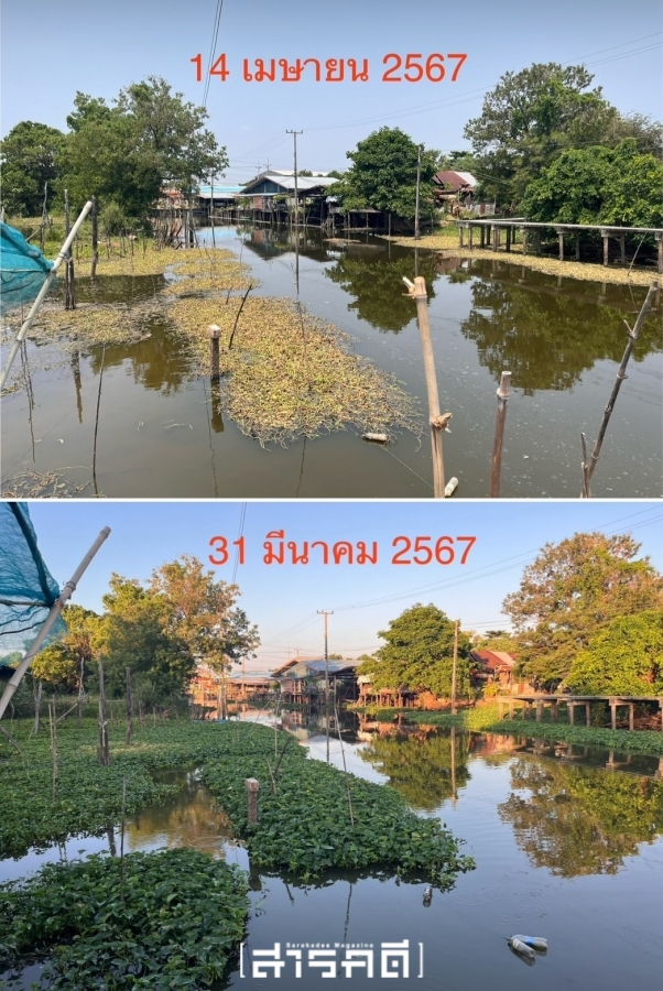 หายนะประเวศบุรีรมย์ ประตูน้ำท่าถั่วถล่ม น้ำเค็มบางปะกงทะลัก 3 pravejburiram03
